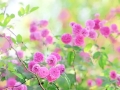 熟读两句英语