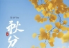 【每日资讯简报，一分钟知天下事】